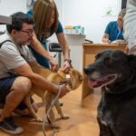 Operativo de vacunación canina en el Centro Veterinario Municipal